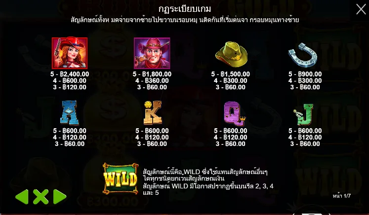 BOUNTY GOLD สล็อตPP SLOT